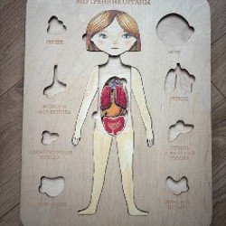 Деревянный пазл «внутренние органы» - фото 2