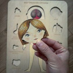Деревянный пазл «внутренние органы» - фото 3