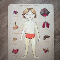 Деревянный пазл «внутренние органы» - фото 5