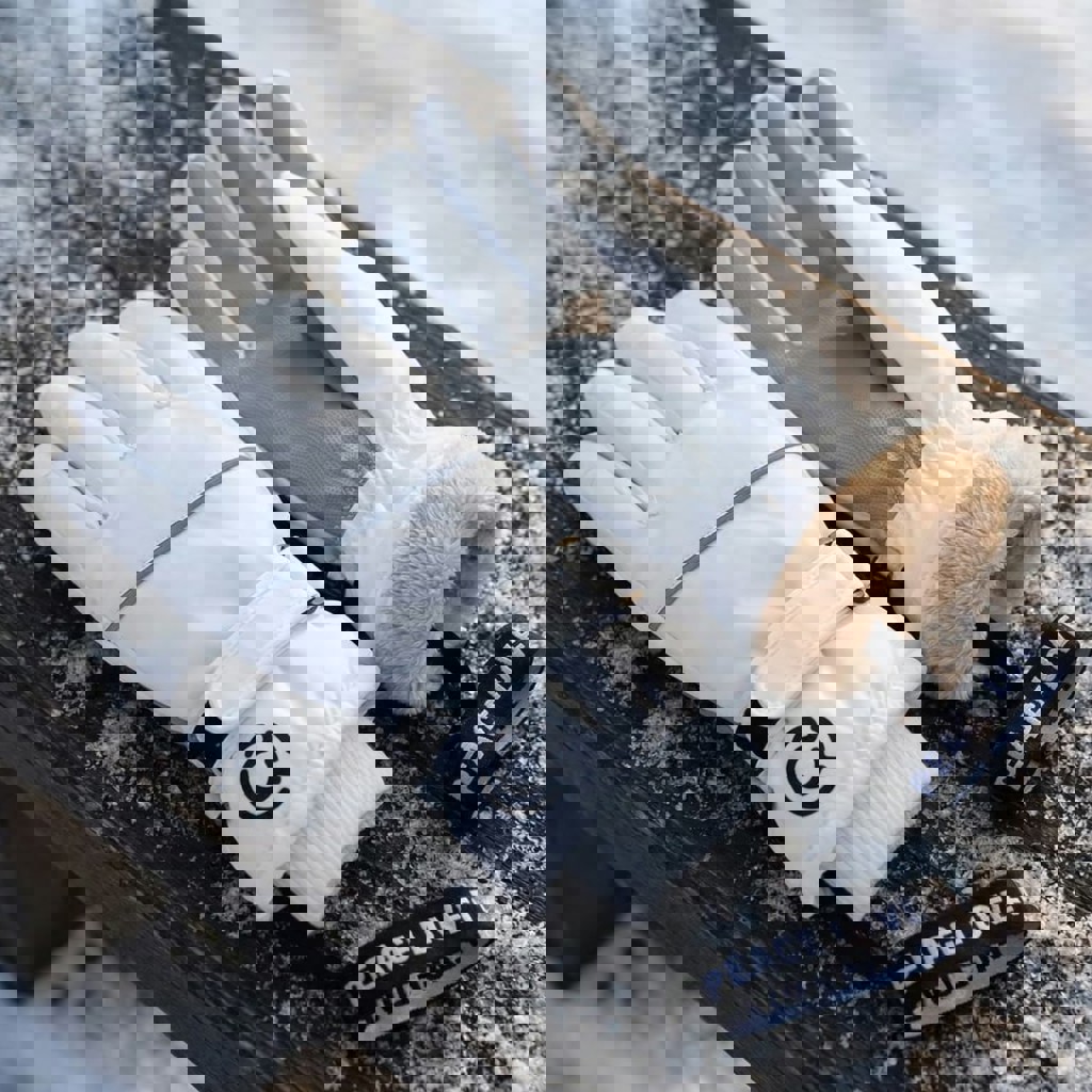 Перчатки горнолыжные