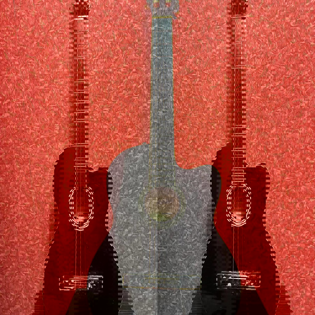 Акустическая гитара Ashford