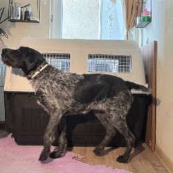 Переноска Ferplast Atlas 80 - фото 3