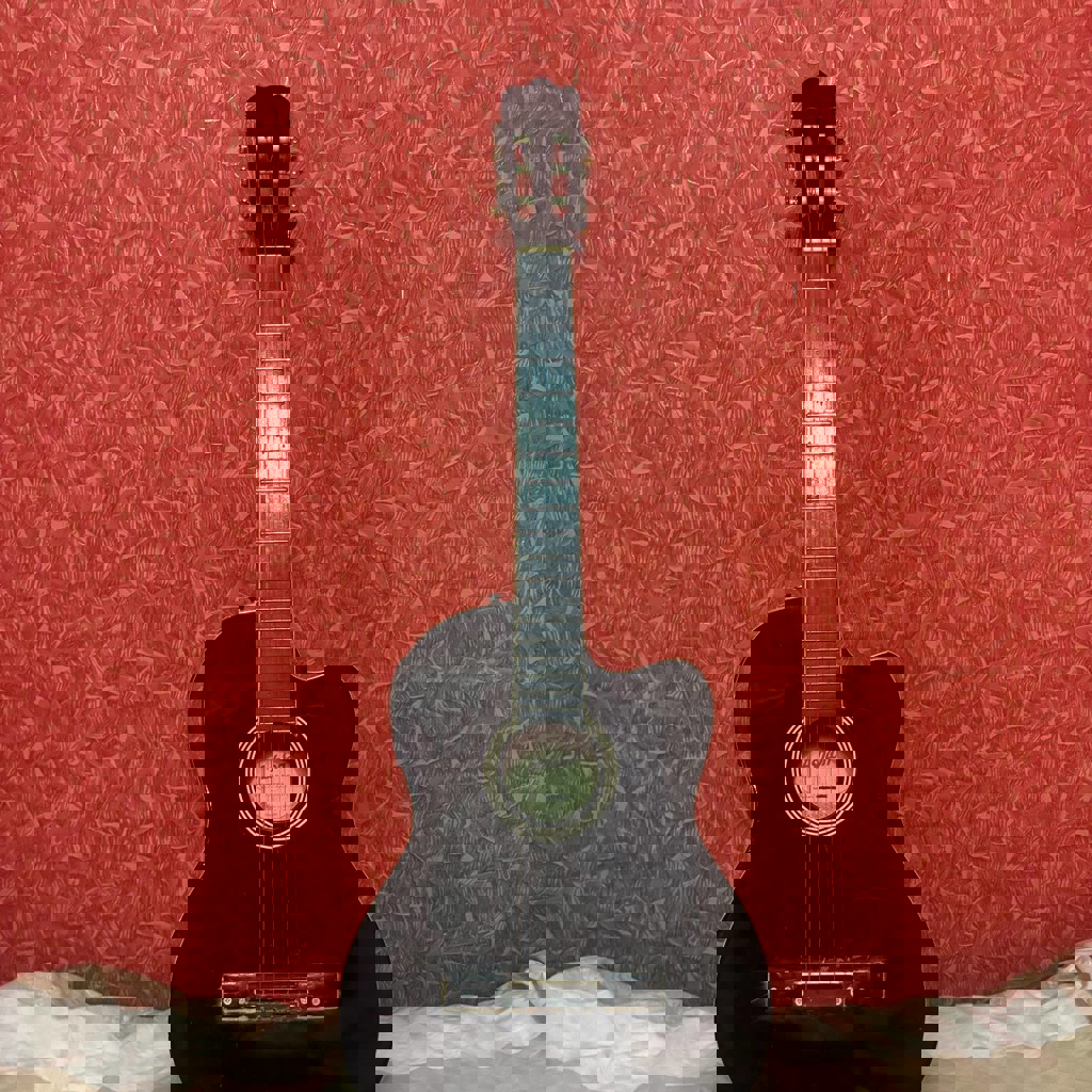 Электроакустическая гитара Ashford