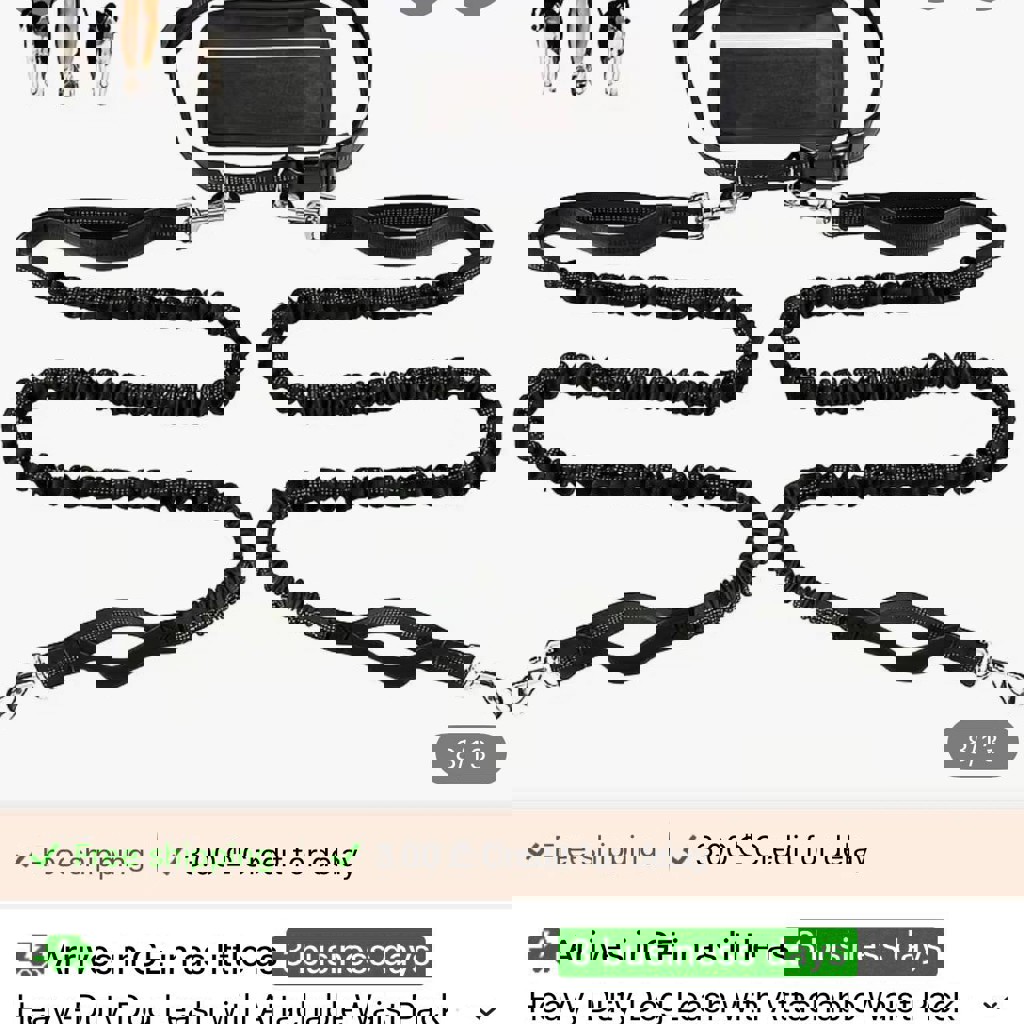 Набор для прогулок с собаками