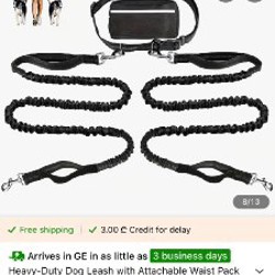 Набор для прогулок с собаками - фото 1