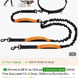 Набор для прогулок с собаками - фото 2