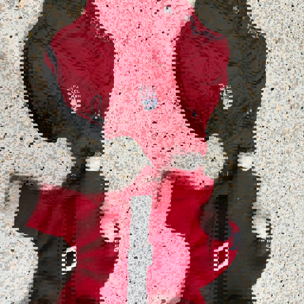 Одежда для маленьких собак