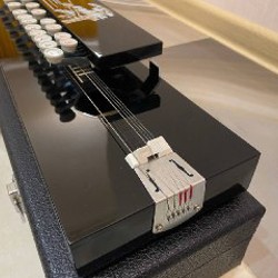 Nagoya harp - фото 5