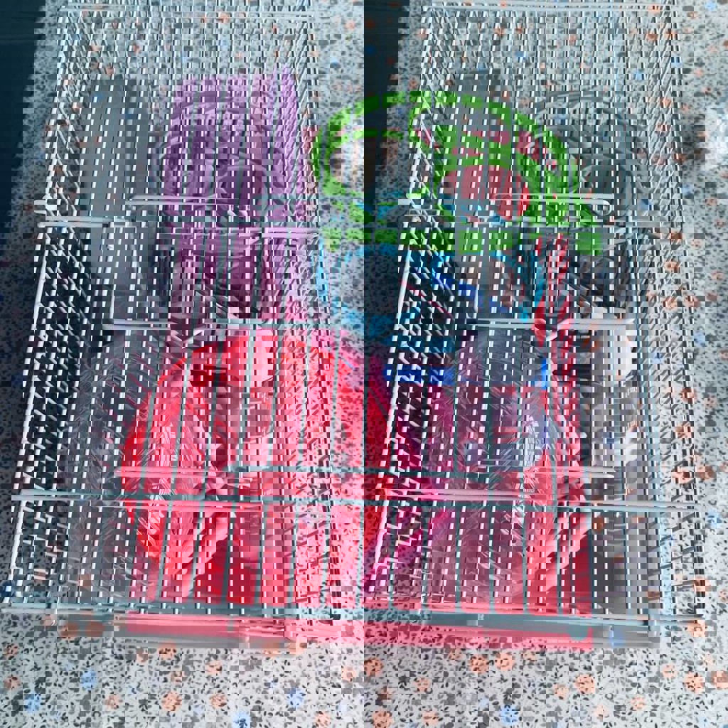 Клетка для хомяка