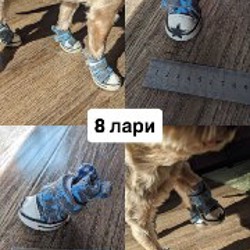 Обувь и носочки для собаки - фото 2