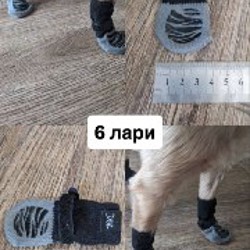 Обувь и носочки для собаки - фото 4