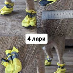 Обувь и носочки для собаки - фото 6
