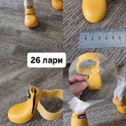 Обувь и носочки для собаки - фото 7