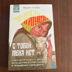 Система финансового оздоровления - фото 3