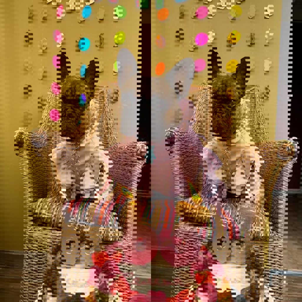 Розовая кофточка