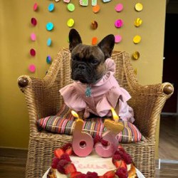 Розовая кофточка - фото 1