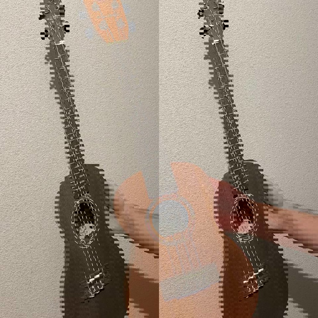 Укулеле концерт