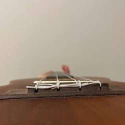 Укулеле концерт - фото 8