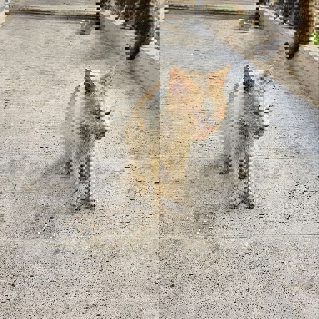 Прием офтальмолога