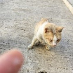 Прием офтальмолога - фото 2