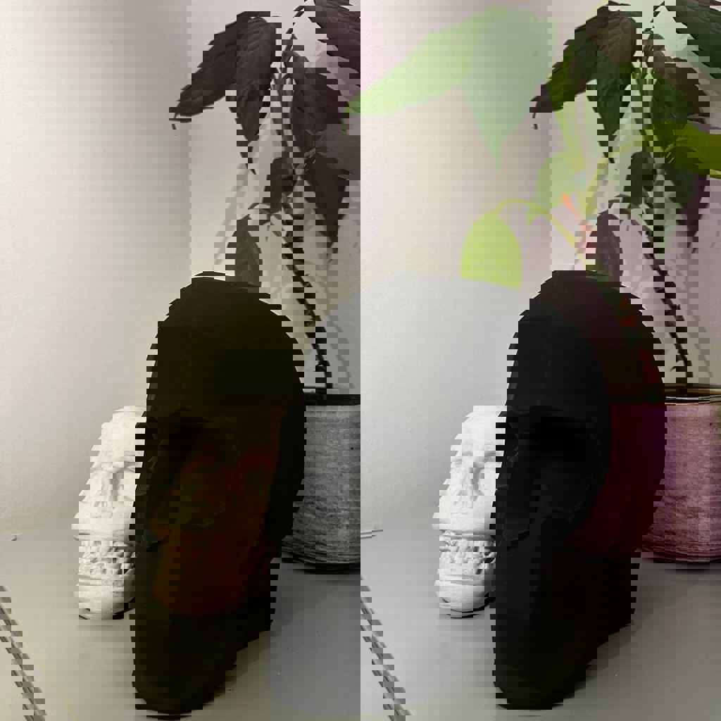 Череп бежевый