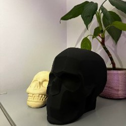 Череп бежевый - фото 1