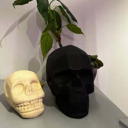 Череп бежевый - фото 2