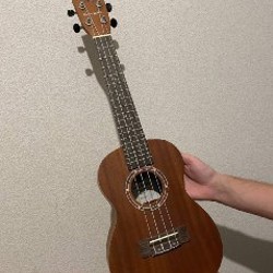 Укулеле концерт - фото 7