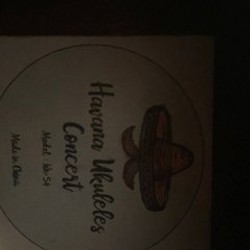 Укулеле концерт - фото 8