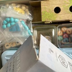 Крылья (Wingspan) - фото 2