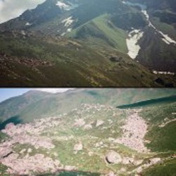 Pentax espio 125 - фото 9