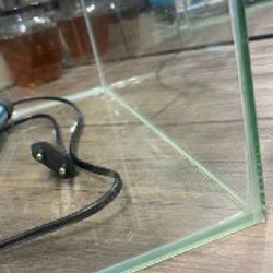 Аквариум - фото 2