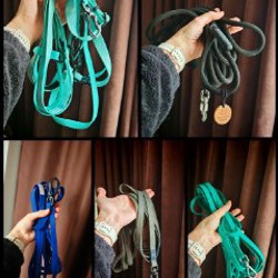 Резиновый поводок - фото 1