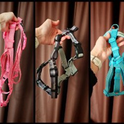 Резиновый поводок - фото 2