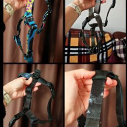 Резиновый поводок - фото 3