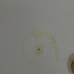 Старая раковина - фото 2