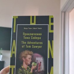 Приключения Тома Сойера - фото 7