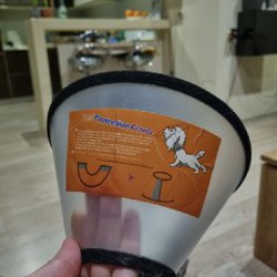 Воск для лап - фото 6