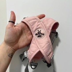 Одежда для собаки (худи) - фото 4