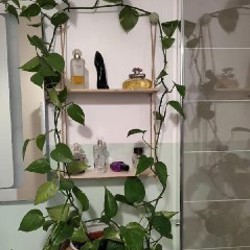 Двухярусная деревянная подвесная полка - фото 2