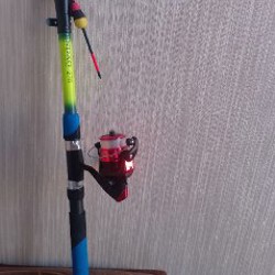 Садок - фото 5