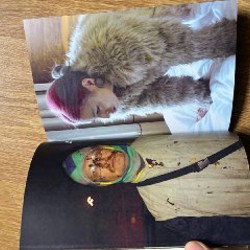 Фотоколлекция - фото 3