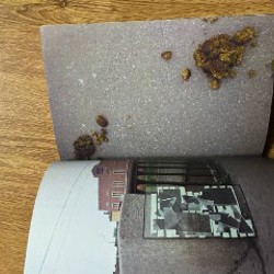 Фотоколлекция - фото 4