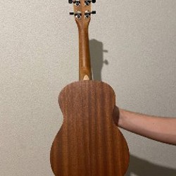 УКУЛЕЛЕ КОНЦЕРТ - фото 2