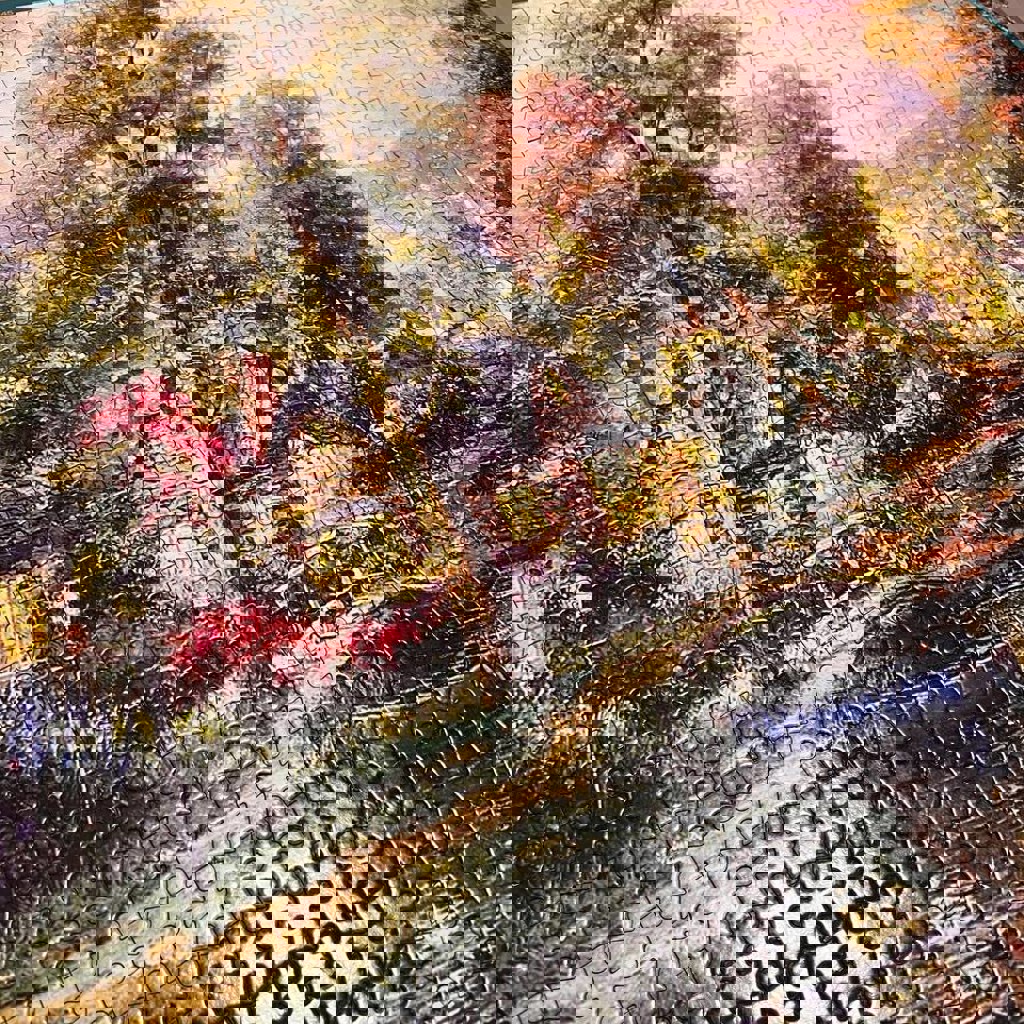 Пазл 1500 деталей