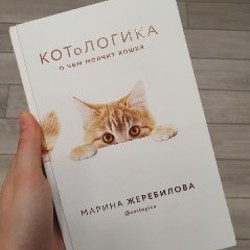 Homo irrealis - фото 1