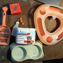 Игрушка автоматическая - фото 1