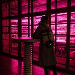 Fujifilm XF10 - фото 8