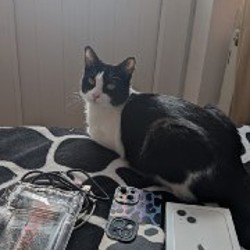 IPhone 13 - фото 8