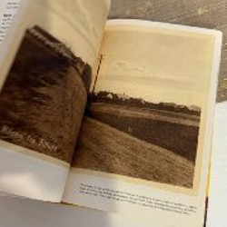 Гирлянда красная - фото 2